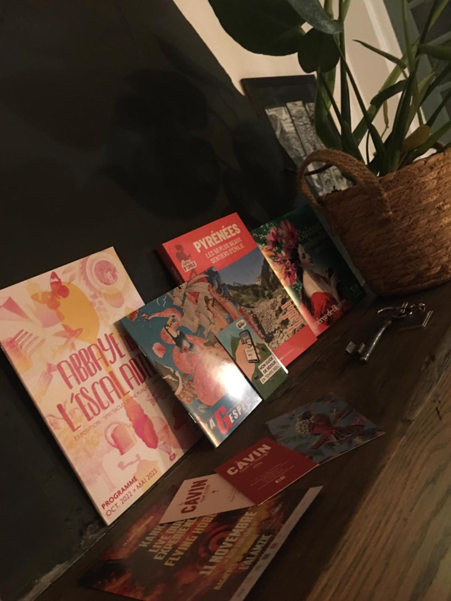 «Coeur De Vie » Logement Hyper Centre De Bagneres De Bigorre Eksteriør billede